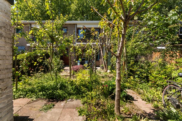 Medium property photo - Van Limburg Stirumplantsoen 14, 3317 GP Dordrecht